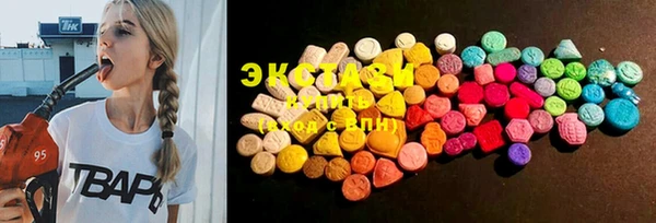 ECSTASY Богородицк