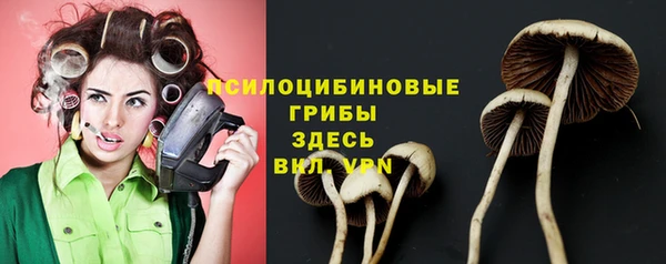 ПСИЛОЦИБИНОВЫЕ ГРИБЫ Богородск