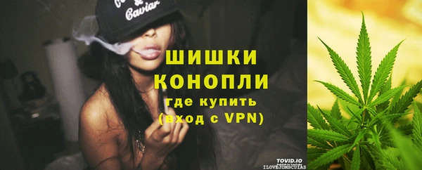ПСИЛОЦИБИНОВЫЕ ГРИБЫ Богородск