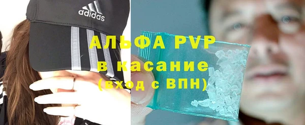 ECSTASY Богородицк