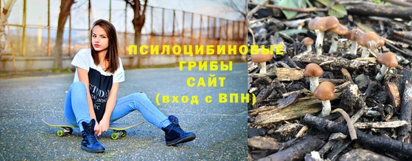 COCAINE Богданович