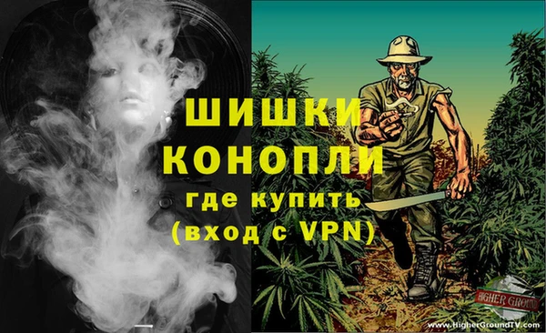 ПСИЛОЦИБИНОВЫЕ ГРИБЫ Богородск